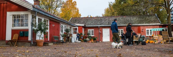 Luciafeiring på Fåbro Gård