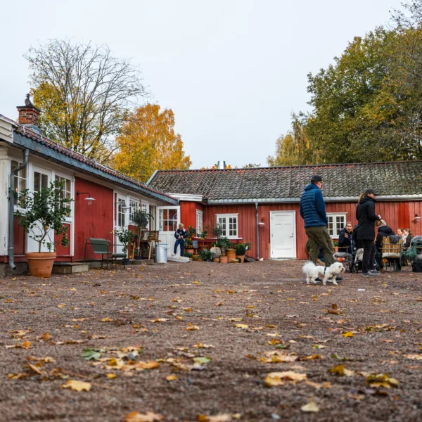 Luciafeiring på Fåbro Gård