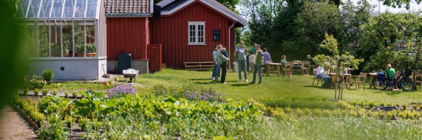 Historisk hagevandring i Fåbro Hage