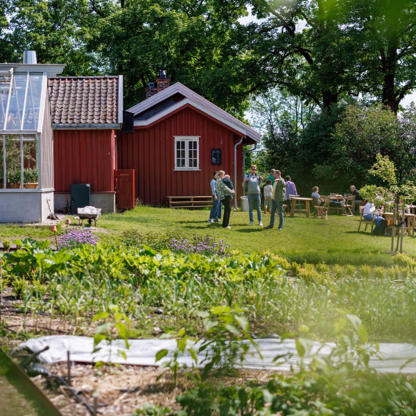 Historisk hagevandring i Fåbro Hage
