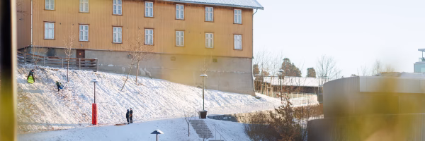 Akebakken i Fåbroparken