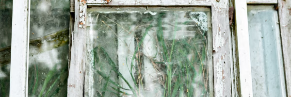 Kurs i vindusrestaurering